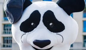 Para Panda Max