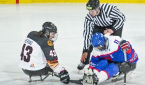 Para Eishockey