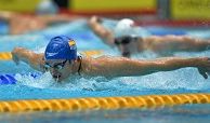 Schwimmer beim Wettkampf