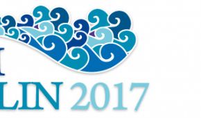 Logo IDM Schwimmen 2017